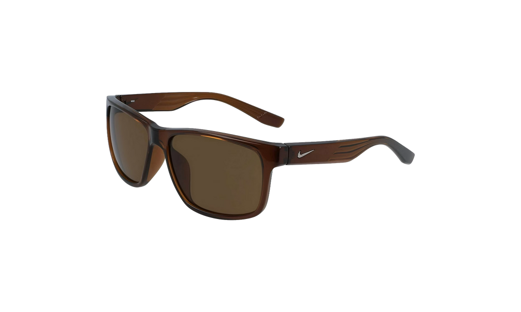 Cruiser Sunglasses Transparent Oak Brown EV0834 220
