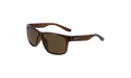 Cruiser Sunglasses Transparent Oak Brown EV0834 220