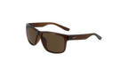 Cruiser Sunglasses Transparent Oak Brown EV0834 220
