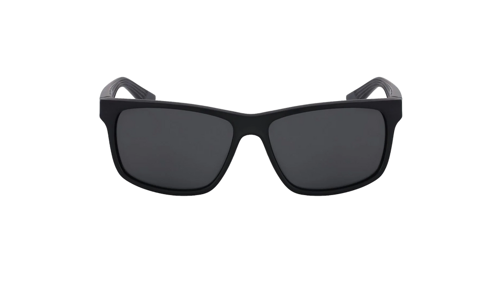 Cruiser Sunglasses Black / Grey EV0834 001