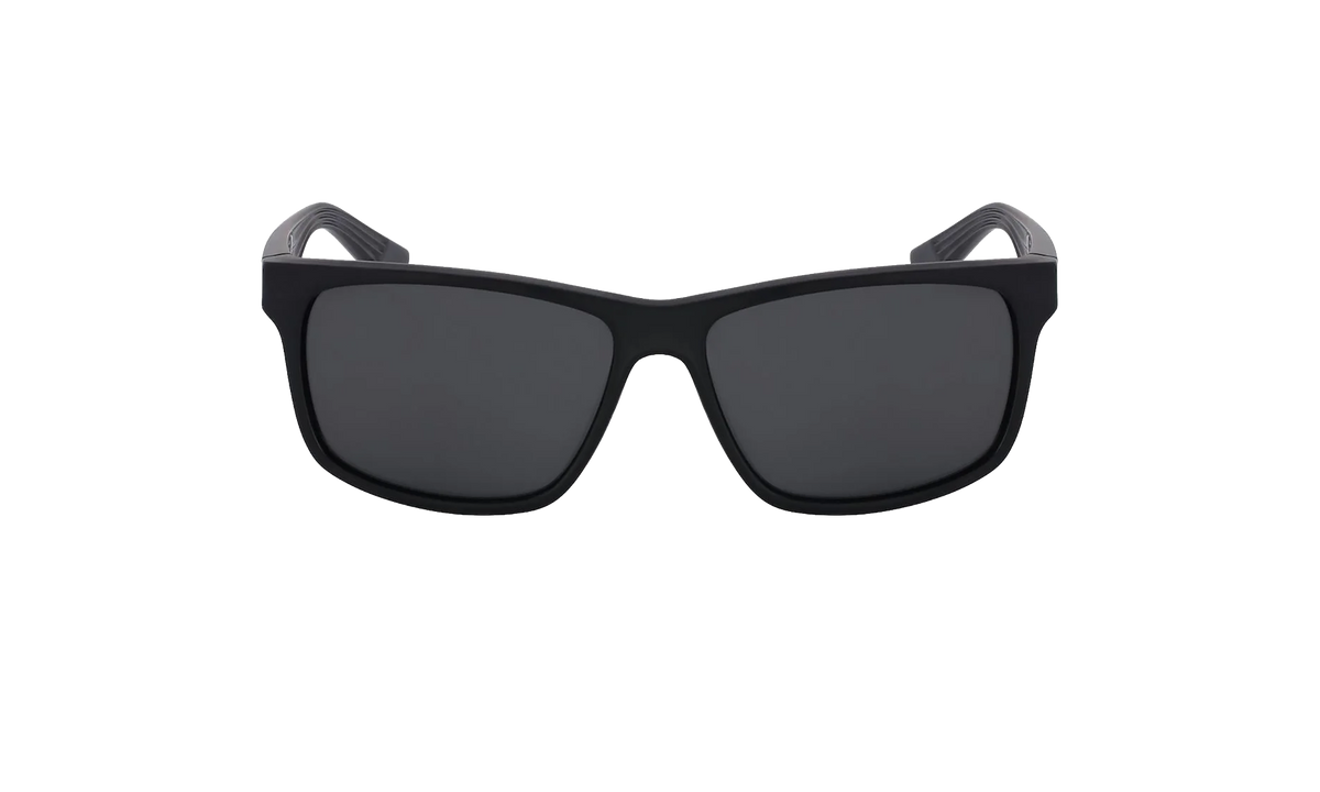 Cruiser Sunglasses Black / Grey EV0834 001