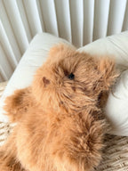 Bartholomew Bear Bouffant