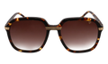 Executive Monte Carlo Edition Acetate Brown Tortoise / Brown Gradient MCEX2 0003 9T5