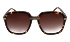 Executive Monte Carlo Edition Acetate Brown Tortoise / Brown Gradient MCEX2 0003 9T5
