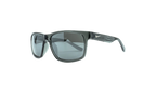 Cruiser Sunglasses Mercury Grey / Silver EV0834 011