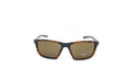 Valiant Sunglasses Brown CW4645 220