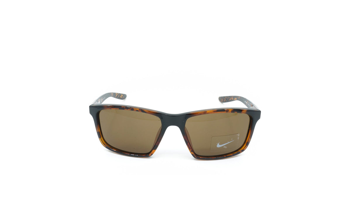 Valiant Sunglasses Brown CW4645 220