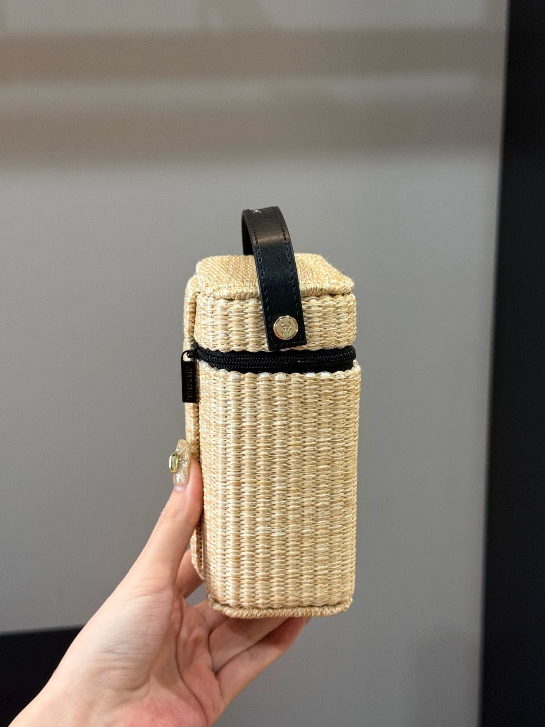 Les Beiges Vanity Bag