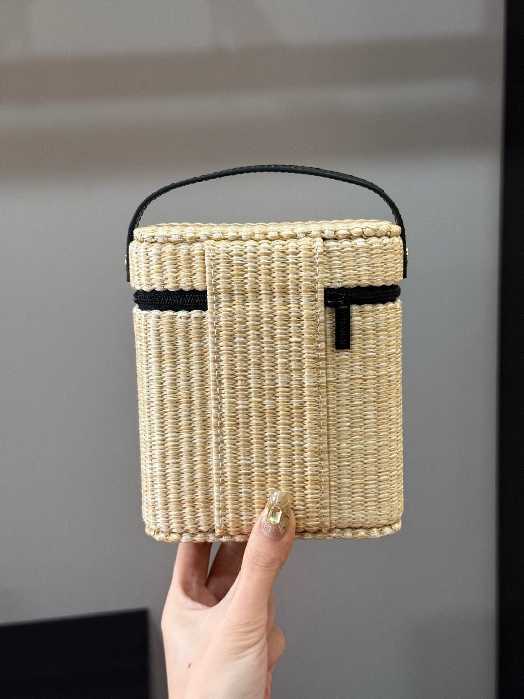 Les Beiges Vanity Bag