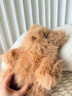 Bartholomew Bear Bouffant