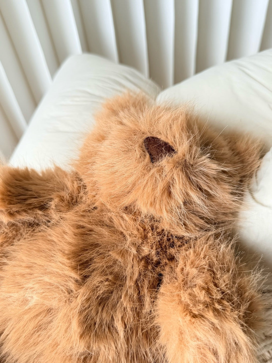 Bartholomew Bear Bouffant