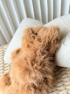 Bartholomew Bear Bouffant