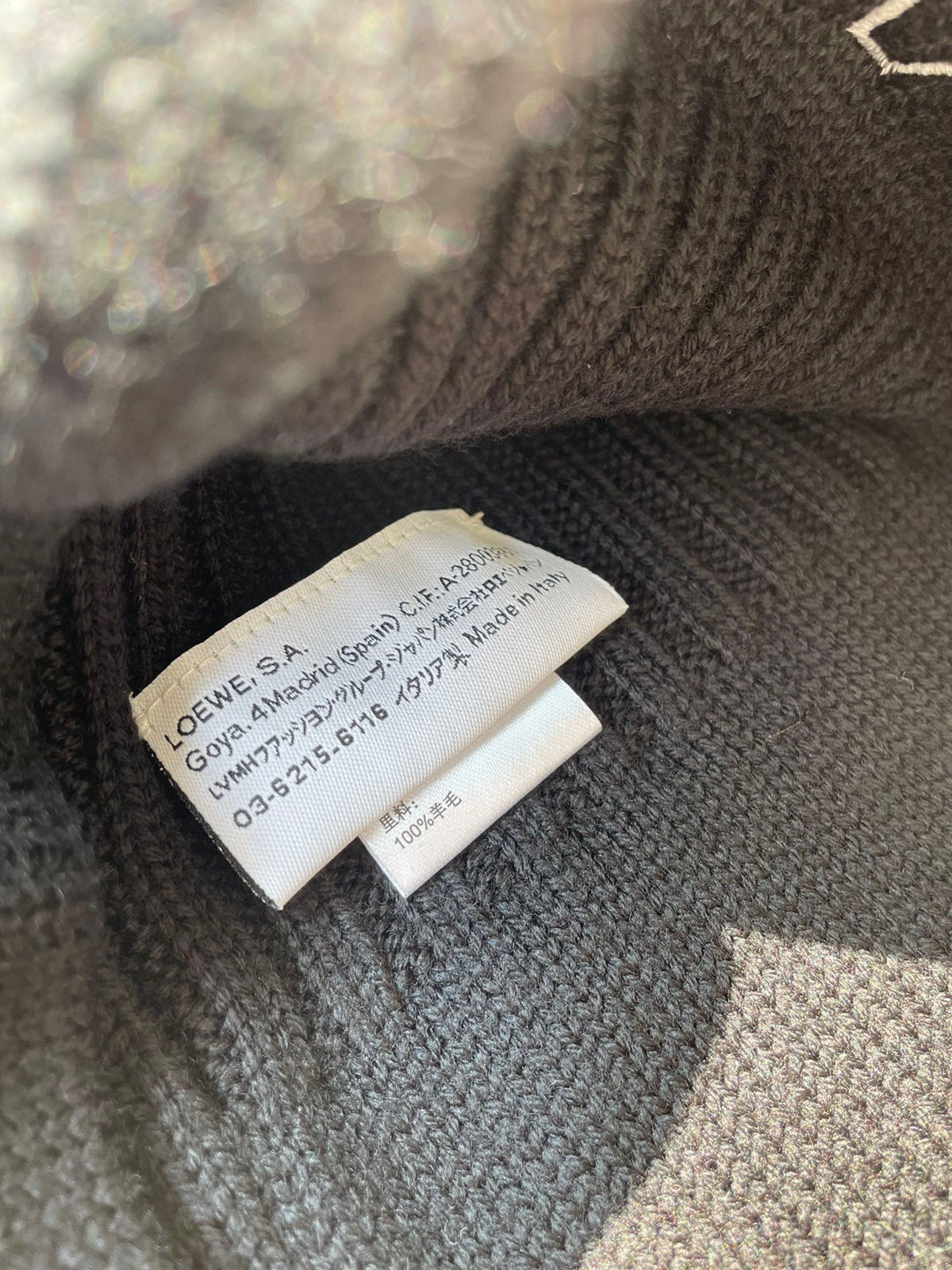Loewe Knitted Embroidered Hat #22147
