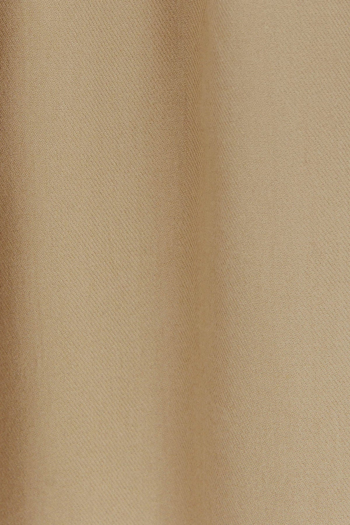 Diona Cashmere and Wool Fringed Scarf Beige