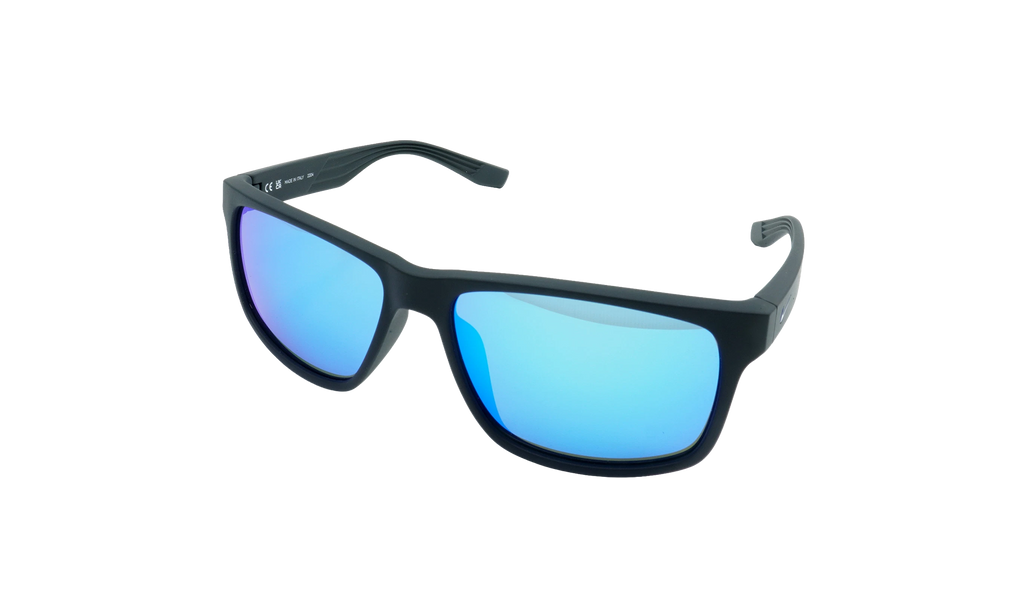 Cruiser Sunglasses Black / Grey EV0834 014