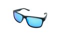 Cruiser Sunglasses Black / Grey EV0834 014