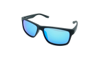 Cruiser Sunglasses Black / Grey EV0834 014