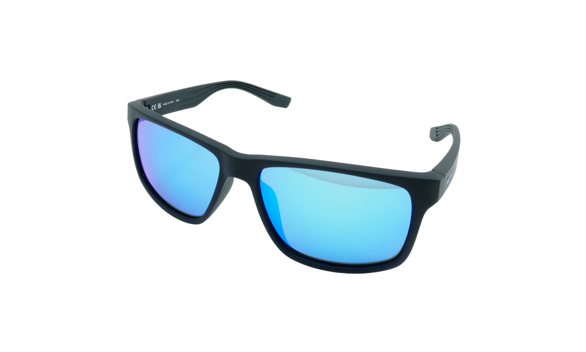 Cruiser Sunglasses Black / Grey EV0834 014