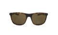 Essential Endeavor Polarized Sunglasses Tortoise FQ4679 220