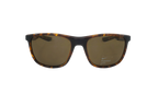 Essential Endeavor Polarized Sunglasses Tortoise FQ4679 220