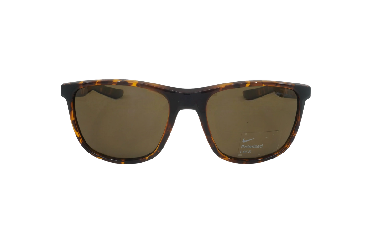 Essential Endeavor Polarized Sunglasses Tortoise FQ4679 220