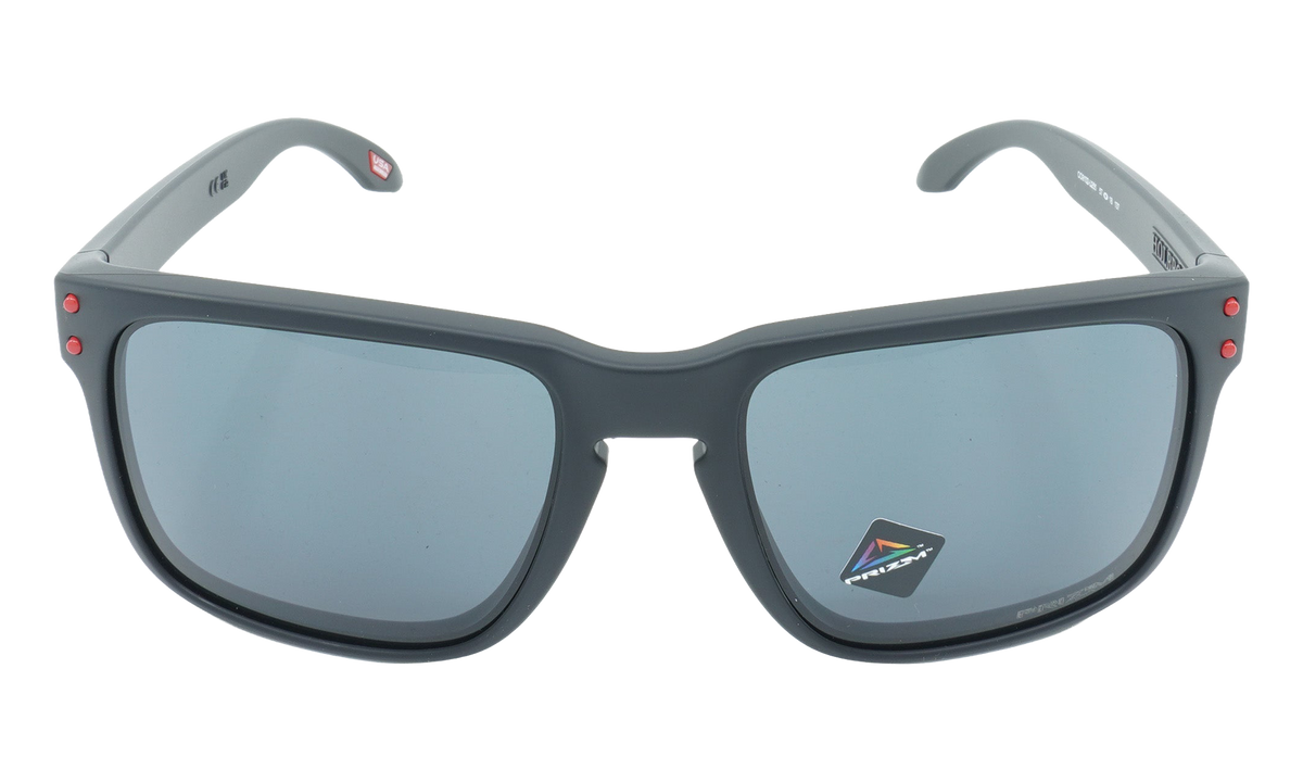 Holbrook Sunglasses Matte Black / PRIZM Grey OO9102 U2
