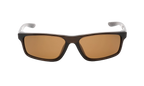 CHRONICLE SUNGLASSES Velvet Brown CW4656 220