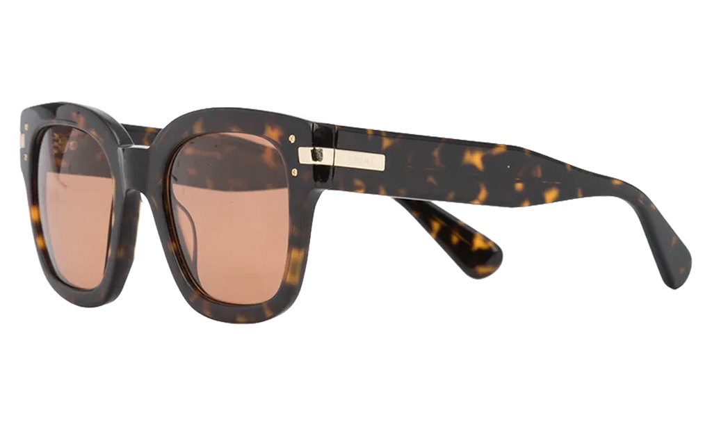 Classic Logo Sunglasses Brown / Brown / Gold XA41763AC BBG