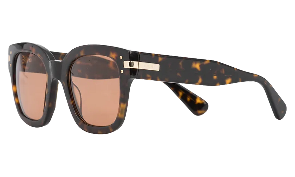 Classic Logo Sunglasses Brown / Brown / Gold XA41763AC BBG