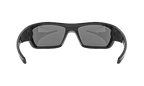 Force Sunglasses Shiny Black / Gray 8600086 000900
