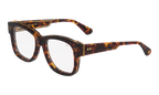 Billionaire Tortoise Brown Acetate Brown Tortoise / Clear MPBL2 0003 8D2