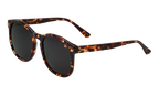 Revolution Acetate Brown Tortoise / Black MPRE2 0006 40T4