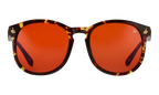 Revolution Acetate Brown Tortoise / Red MPRE2 0008 45C4