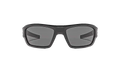 Force Sunglasses Shiny Black / Gray 8600086 000900