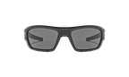 Force Sunglasses Shiny Black / Gray 8600086 000900