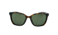 Sentiment Sunglasses Dark Tortoise Green CT7886 220
