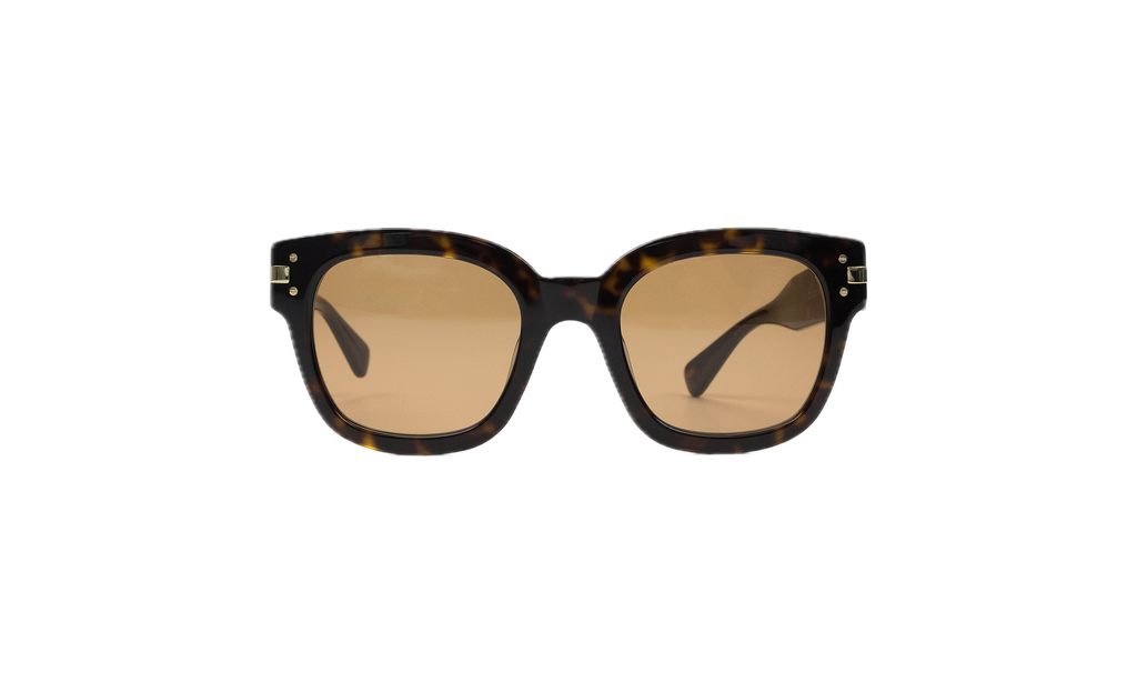 Classic Logo Sunglasses Brown XA41763AC_Tortoise/Brown