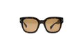 Classic Logo Sunglasses Brown XA41763AC_Tortoise/Brown