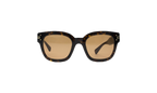 Classic Logo Sunglasses Brown XA41763AC_Tortoise/Brown