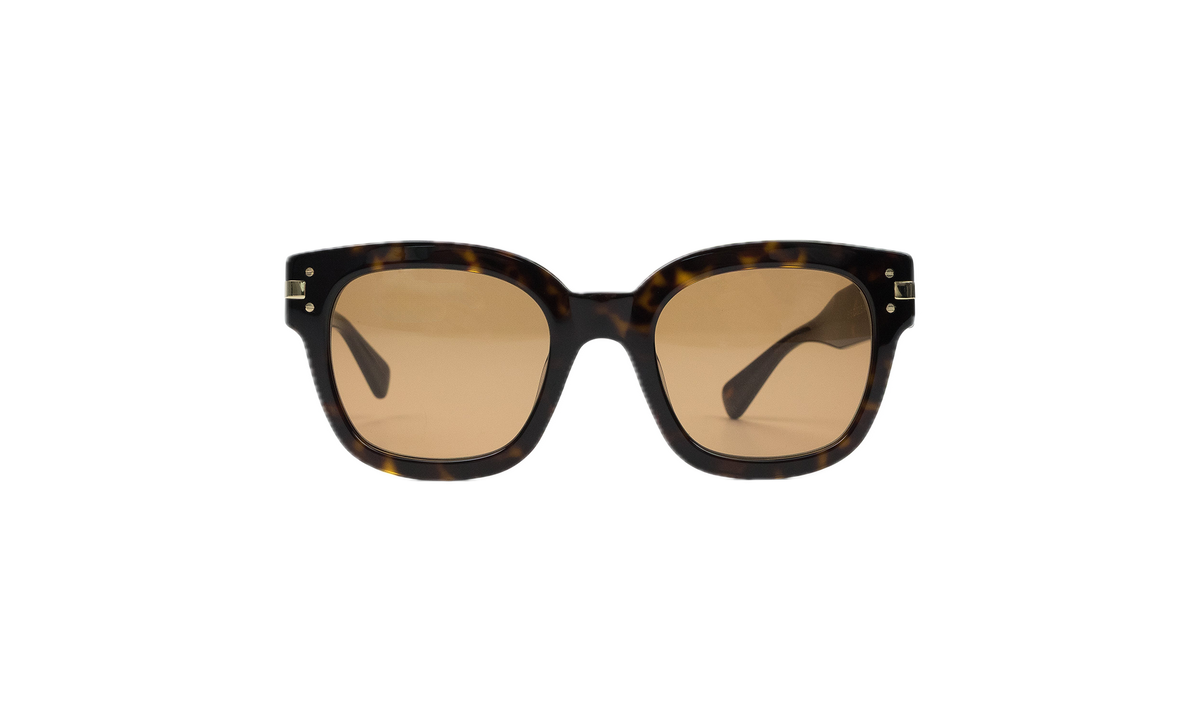 Classic Logo Sunglasses Brown XA41763AC_Tortoise/Brown