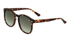 Revolution Acetate Brown Tortoise / Gray Gradient MPRE2 0007 40T5