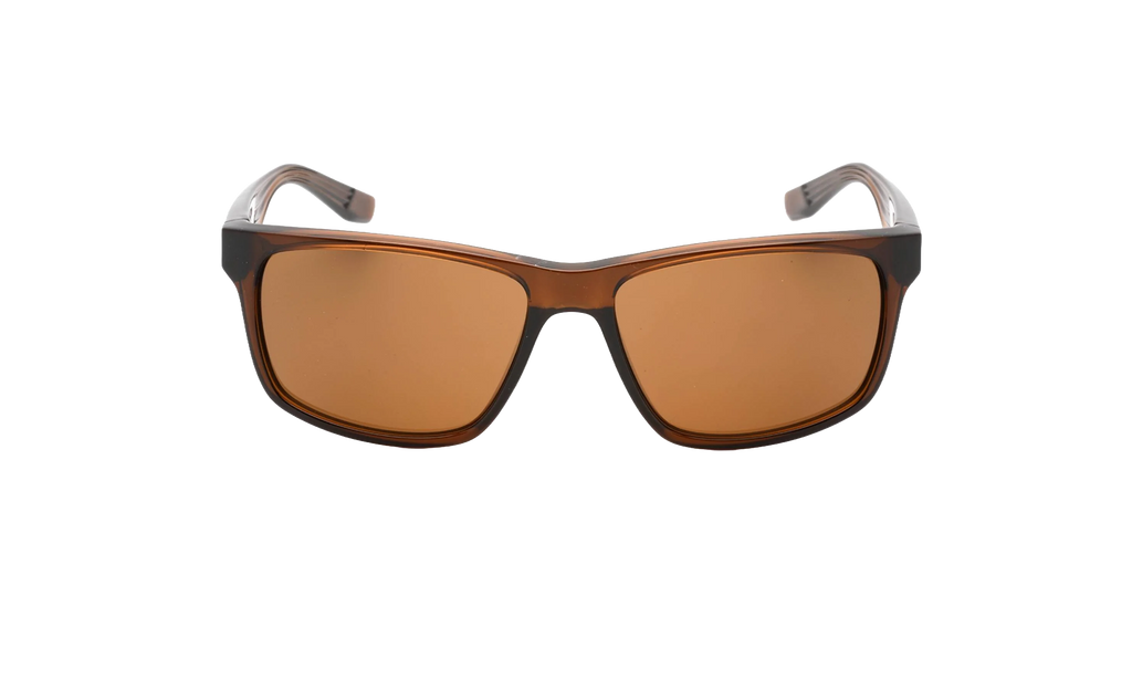 Cruiser Sunglasses Transparent Oak Brown EV0834 220