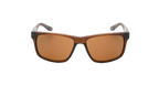 Cruiser Sunglasses Transparent Oak Brown EV0834 220
