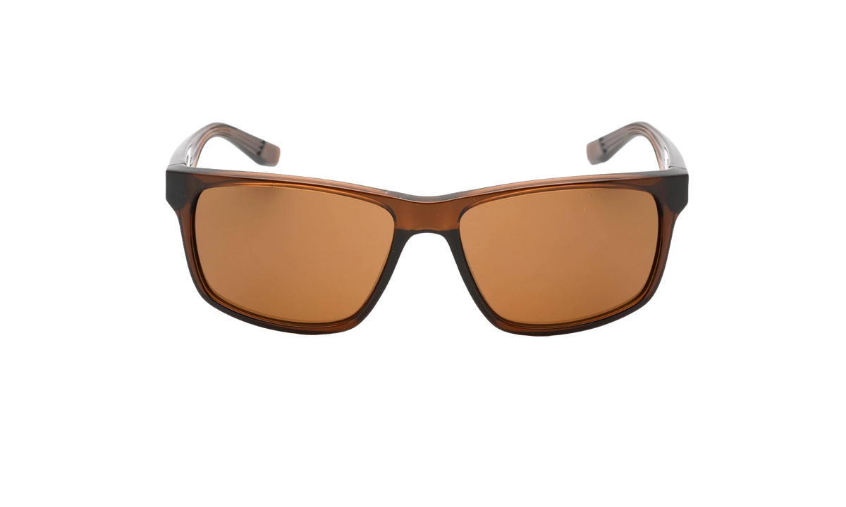 Cruiser Sunglasses Transparent Oak Brown EV0834 220