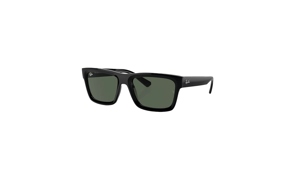 Warren Sunglasses Black/Dark Green 0RB4396 BLK
