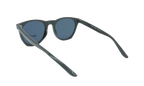 Essential Horizon Sunglasses Black / Silver/ Grey EV1118 044