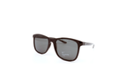 PASSAGE P Polarized Sunglasses Black CW4657 010