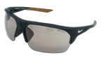Terminus Sunglasses BLACK / BROWN EV1151 066