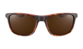 Essential Endeavor Sunglasses Matte Tortoise / Brown EV1122 202