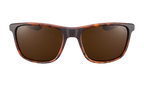 Essential Endeavor Sunglasses Matte Tortoise / Brown EV1122 202